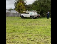 Collab WeirdM - Armed man shoots down black cow