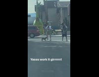 Two guys dog in alley dinosaur statue