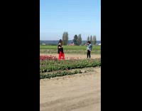 Lady Wearing Black Poses for Photos with Tulips 