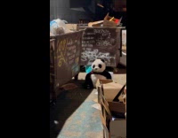 Stuffed toy panda with ribbon at dumpster