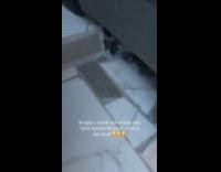 Truck has after market flooring