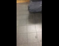 Woman carries four trashbags full of recyclables on a stick and cant get up subway stairs #BluePointWhatTheL