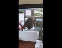 Guy grabs drink in drive thru window