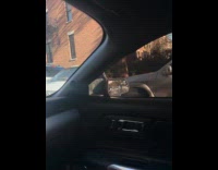 Collab winy - Small car parked wrong on street gets ticket