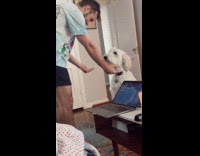 Collab BitchMP - Man makes dog pick NFL teams 