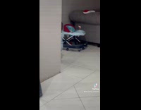 Toddler says prayer before eating cake 