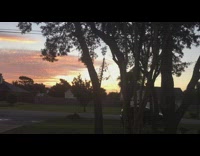 Sunrise view and ambiance from the yard 