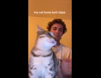 Cat enjoys butt slaps