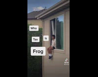 Collab BitchIG2 - Guy sitting on window tax frog