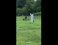 Person in an angel costume standing in the grass at a park with dogs