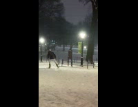 Random guy skis inside the Central Park