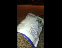 Large porcupine hedgehog in white chips bag