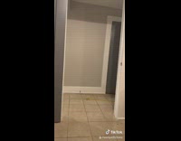 BitchMP - Cat walks by with yellow leash in mouth