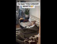 Man jokes about eating dog 