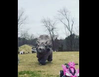 Little girl runs away from inflatable dinosaur 