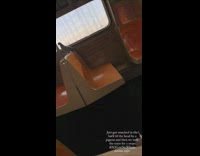 Pigeon sits on train seats 