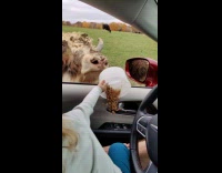 Kid Pours and Spills Feeds inside Car