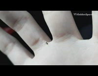 Black ant missing lower body crawls hand