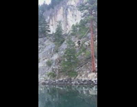 Guy swings high on rope tied to tall tree, back flips and  cannonballs into lake water