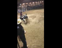 Black helmet guy rides bull cow fail 