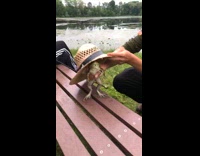 Guy holds green frog makes it dance 