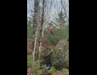 Shirtless guy falls onto woods dirt floor 