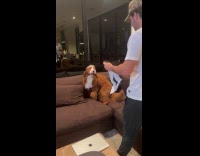 Man confronts dog with ripped poster
