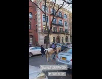 Purple jacket kid rides pony down street