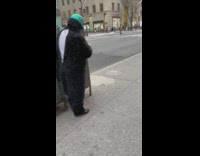 Guy Wears Gorilla Costume with Hat 