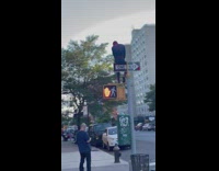 Spiderman sits on top of street pole 