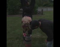Blonde girl upside down keg stand spits out 