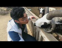 Guy leans in kiss goat grey horns 