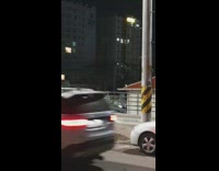 Guys on rooftop parking lot see birds