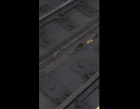 Collab Subway Creatures - three rats one bagel subway rails 