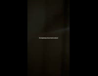 Brown bear got inside house during bachelorette party pt. 1