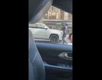 large camera fur coat blue dress