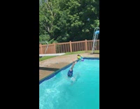 Little boy with blue floaties on arms dives into swimming pool and scorpions