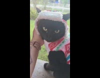 Black cat red hat white sweater girl