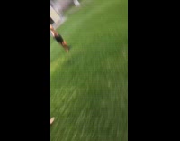 Collab BitchMP - Little boy points firework stick at camera 