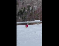 Pug in Sweater Runs Toward Man on Snow