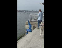 Lady Covered in All Blue Poses with Arms 