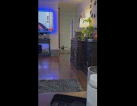 Pet spider monkey runs down hallway to living room 