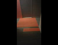 Small dog running around in hotel hallway back and forth 
