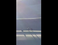 Two people wears wolf helmet sand selfie