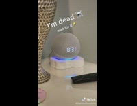 Alexa plays character guessing game