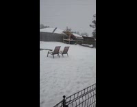 Submitter films yard with snow in Florida