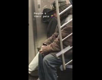 Man holds his pet pigeon in his hands on subway train