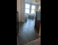 Dog hides face between couch cushions 