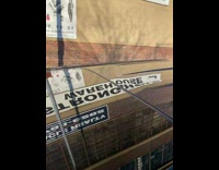 Biker Carries Dog Wearing Goggle in Backpack During Ride 