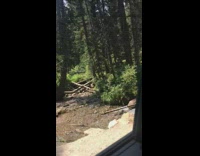 Girl dress sit on chair between trees